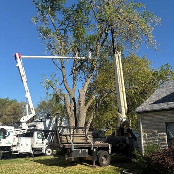 Turnbull's Tree Service - Tree Services Near Me - Norwalk, Iowa Turnbull's Tree Service - Tree Services Near Me - Norwalk, Iowa