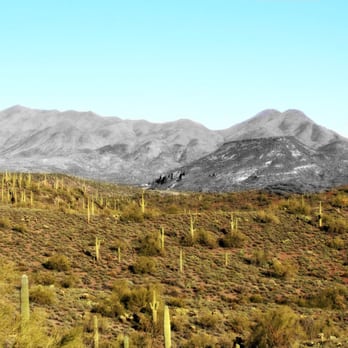 Desert Wolf Tours - Of the sky, cactus and mountains. Sonoran Desert. - Tours Near Me - Phoenix, Arizona Desert Wolf Tours - Of the sky, cactus and mountains. Sonoran Desert. - Tours Near Me - Phoenix, Arizona