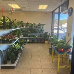 Roux's Pet Supplies & Plants
