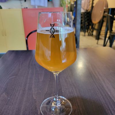 Novel Strand Brewing Company by null