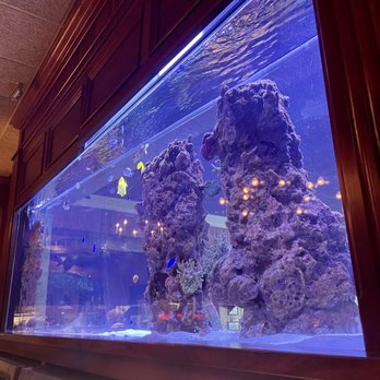 FishBones - Entry way fish tank - Sushi Bars Near Me - Lake Mary, Florida FishBones - Entry way fish tank - Sushi Bars Near Me - Lake Mary, Florida