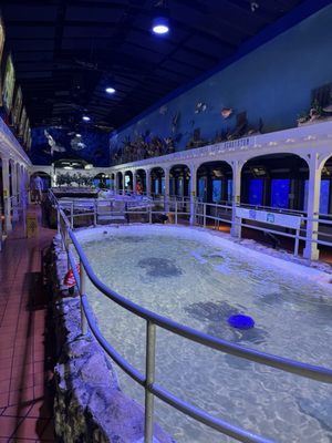 Key West Aquarium by null