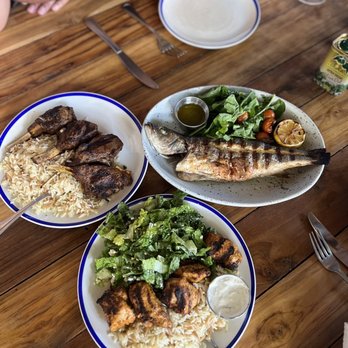 Mandolin Aegean Bistro - Whole Mediterranean Sea Bass, Lamb Chops, Chicken Kebab - Mediterranean Near Me - Miami, Florida