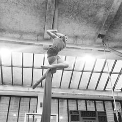Aerial Arts