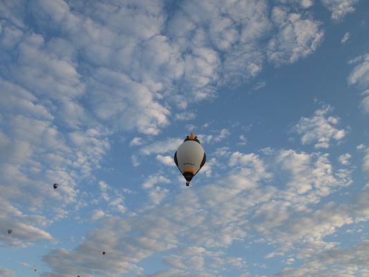 Albuquerque International Balloon Fiesta by null
