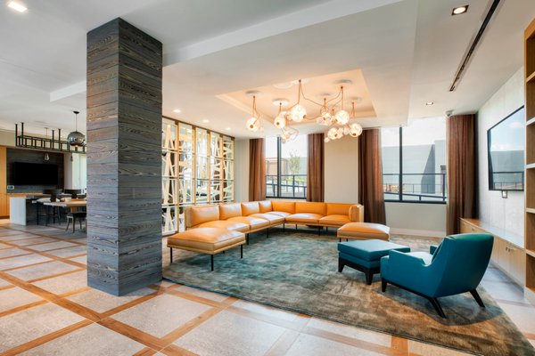 NOVEL South Capitol by null