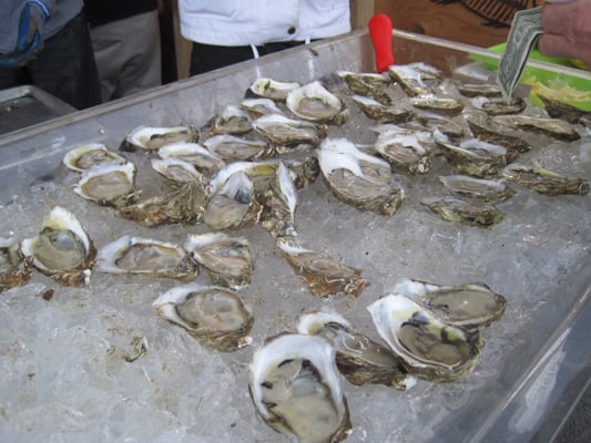 Wellfleet OysterFest by null