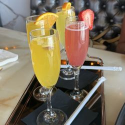 Mimosa Flight