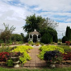 Simmons Winery - Banquet Hall gardens