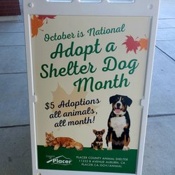 Placer SPCA - $5 ALL ADOPTIONS