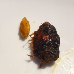 Dum Pukht - Black Cardamon (right) - first time I'd encountered this spice. Normal green cardamom is on the left of it