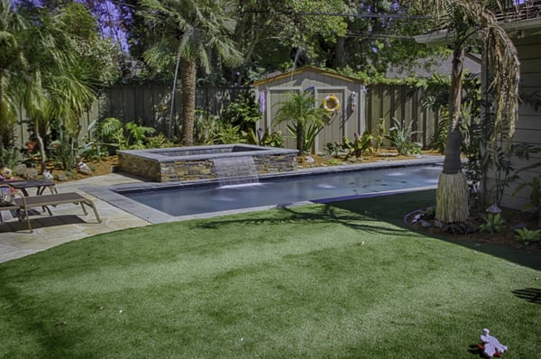 Golden Gate Palms by null