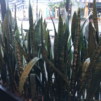 Tavern On Main - New American Near Me - Springfield, Oregon
