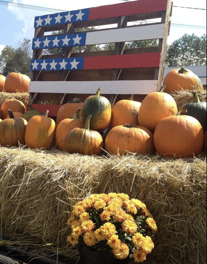 PEANUT’S GARDEN CENTER 25 Photos 15848 Elkin Highway, Ronda, North