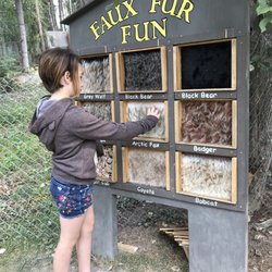 Northern Lights Wildlife - Faux Fur Fun