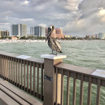 Sunsets at Pier 60 - Festivals Near Me - Clearwater, Florida Sunsets at Pier 60 - Festivals Near Me - Clearwater, Florida
