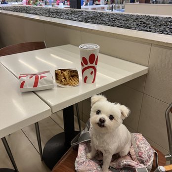 Chick-fil-A - Fast Food Near Me - Honolulu, Hawaii Chick-fil-A - Fast Food Near Me - Honolulu, Hawaii