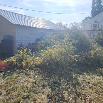 Goodbye Trees - Tree Services Near Me - Winona, Minnesota