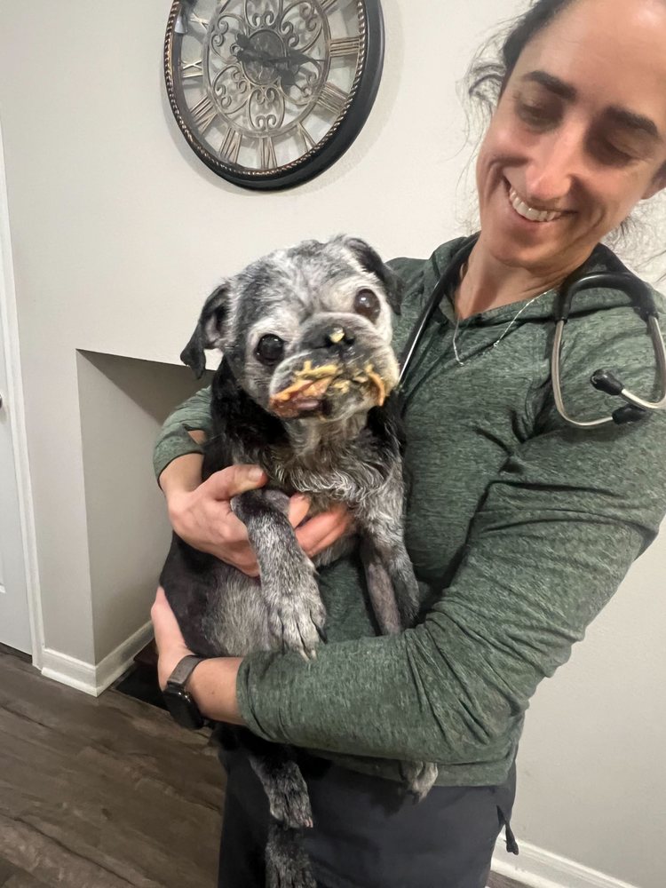 THE VETS MOBILE VET CARE IN DENVER 27 Photos & 12 Reviews Denver