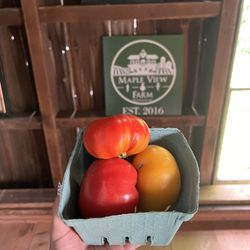 Maple View Farm - Beefsteak tomatoes