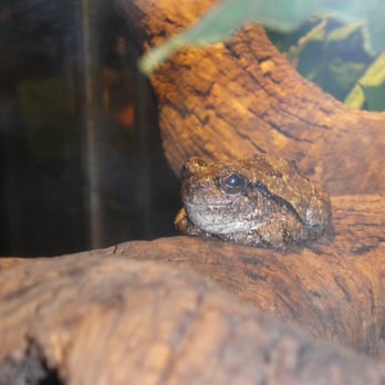 ECHO, Leahy Center for Lake Champlain - Museums Near Me - Burlington, Vermont