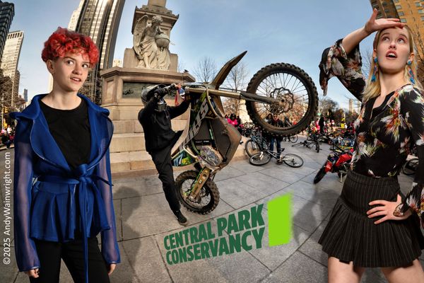 Central Park Conservancy by null