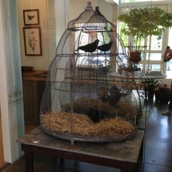 George - Super cool giant birdcage