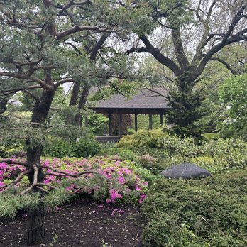 Japanese Garden - The Japanese tea house - Botanical Gardens Near Me - Chicago, Illinois