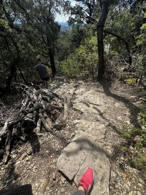 Balcones Canyonlands National Wildlife Refuge by null