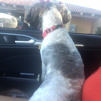 PetSmart - Pet Groomers Near Me - Palm Springs, California PetSmart - Pet Groomers Near Me - Palm Springs, California