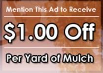 BJ Tree Service - tree service in Verona, PA