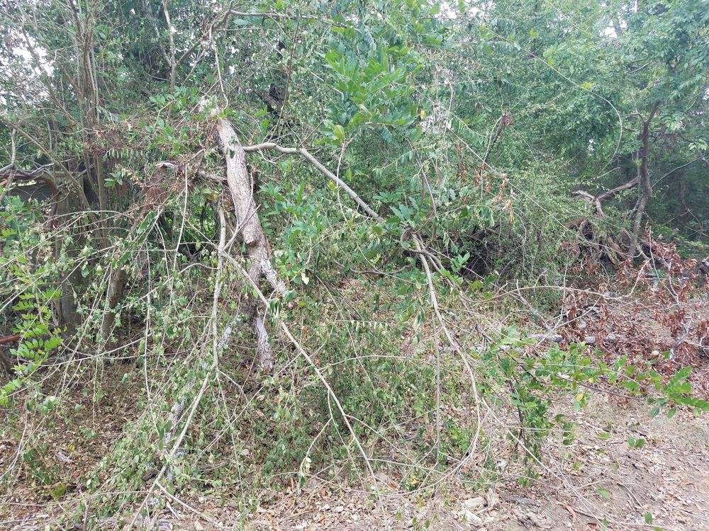 Slide of SCE Landscaping/Tree Service