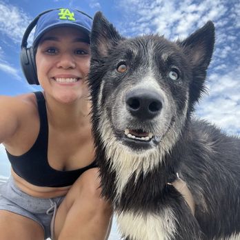 Jae's Doggo Walking Service - Beach trip with Remi - Dog Walkers Near Me Jae's Doggo Walking Service - Beach trip with Remi - Dog Walkers Near Me