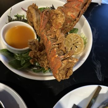 Bungalow Downtown Dining - Fried Lobster Tail - Steakhouses Near Me - Houston, Texas Bungalow Downtown Dining - Fried Lobster Tail - Steakhouses Near Me - Houston, Texas