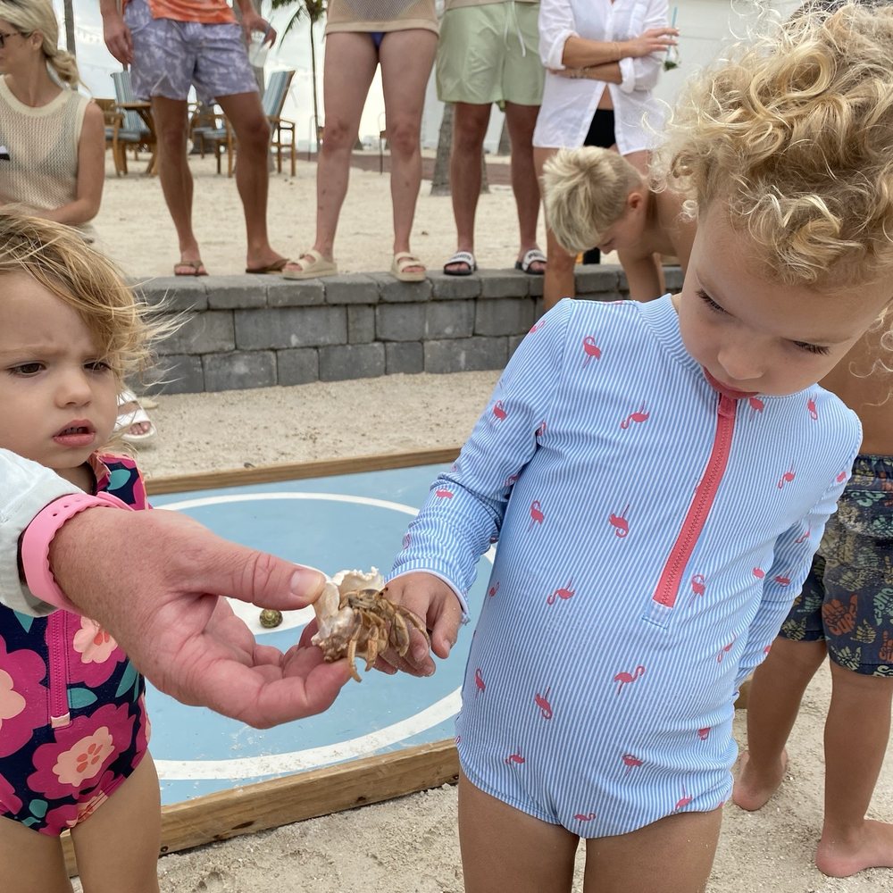 The Spa at Isla Bella - Hermit crab races for the kids - Skin Care Near Me - Marathon, Florida The Spa at Isla Bella - Hermit crab races for the kids - Skin Care Near Me - Marathon, Florida