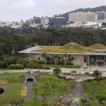 de Young Museum - Art Museums Near Me - San Francisco, California de Young Museum - Art Museums Near Me - San Francisco, California