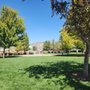 Photo of Pioneer Park