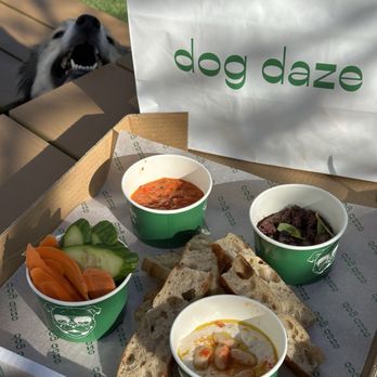 Dog Daze - The dips (and a hungry guest ) - Social Clubs Near Me - Washington, DC, District of Columbia
