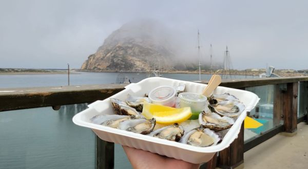 Grassy Bar Oyster Company by null