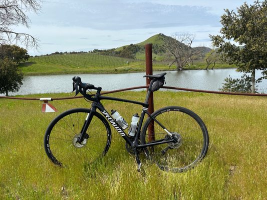 Napa Valley Bike Tours & Rentals by null