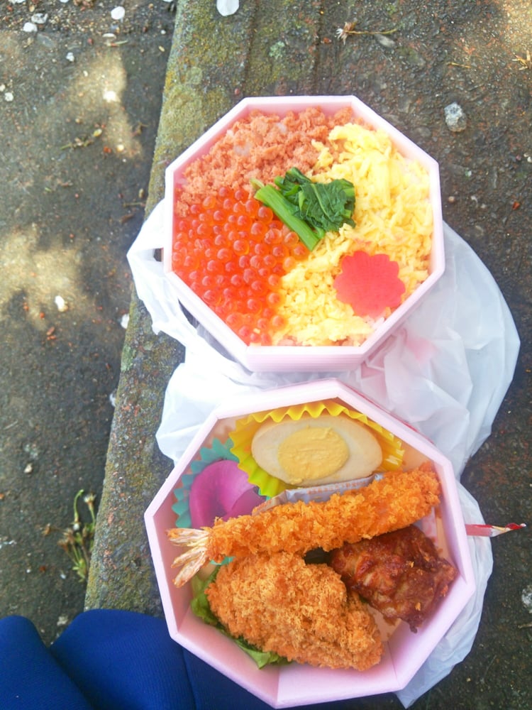 Shiraishigawa Tsutsumi Hitomesenbon Sakura