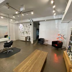 Salon Diversions