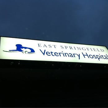 East Springfield Veterinary Hospital - Veterinarians Near Me - Springfield, Massachusetts East Springfield Veterinary Hospital - Veterinarians Near Me - Springfield, Massachusetts