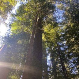 Monte Rio, CA