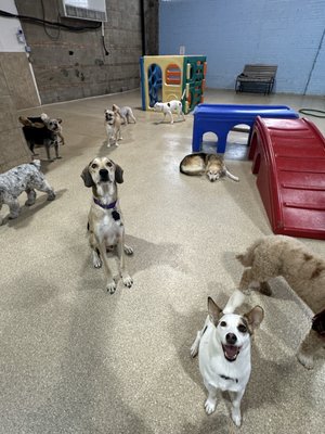 DoGone Fun Resort by null