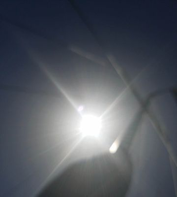 WWSB-ABC-CHANNEL 7 - Updated March 2026 - 12 Photos & 15 Reviews - 1477