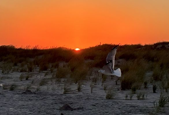 Fort Tilden Beach by null
