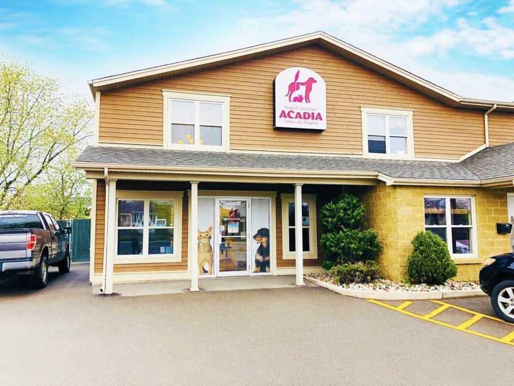 ACADIA VETERINARY HOSPITAL Updated August 2024 101323 Champlain