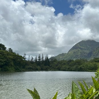 Hoomaluhia Botanical Garden - image of the lake - Botanical Gardens Near Me - Kaneohe, Hawaii Hoomaluhia Botanical Garden - image of the lake - Botanical Gardens Near Me - Kaneohe, Hawaii
