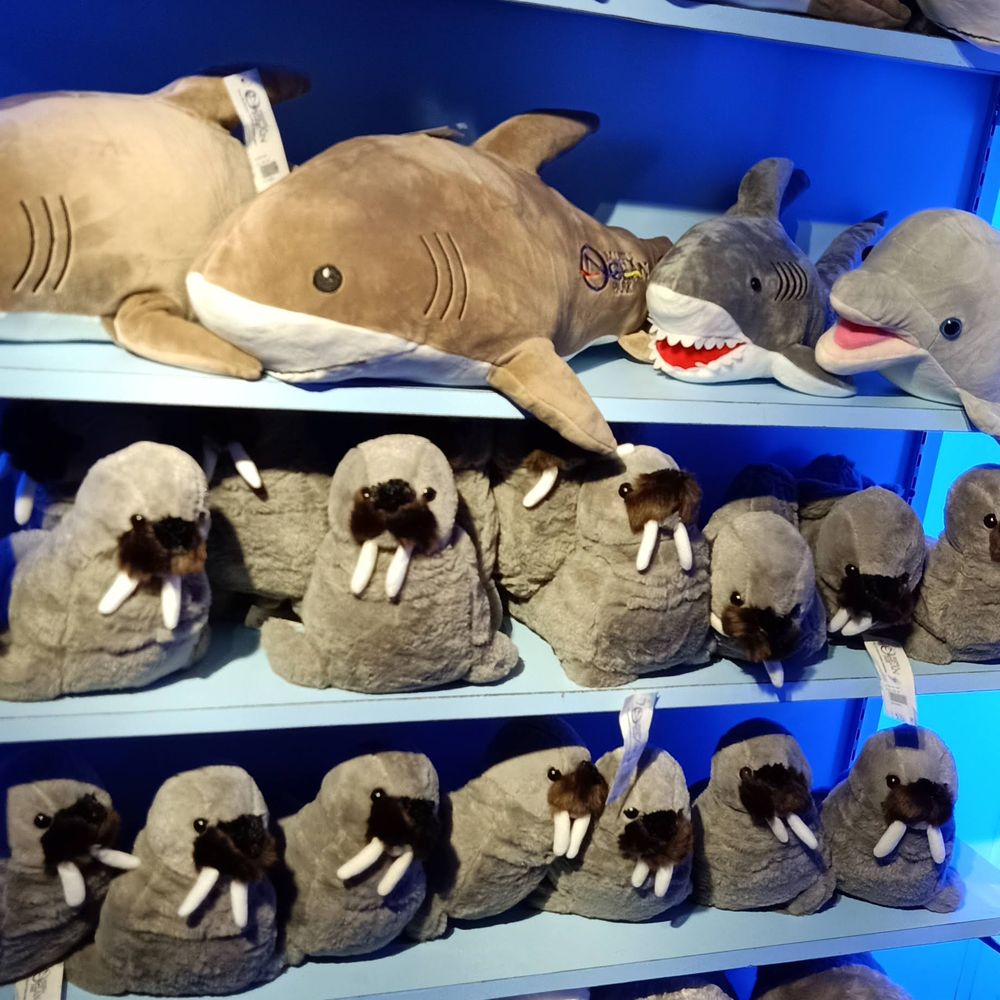 Manila Ocean Park - Aquariums Near Me - Manila, NCR Manila Ocean Park - Aquariums Near Me - Manila, NCR